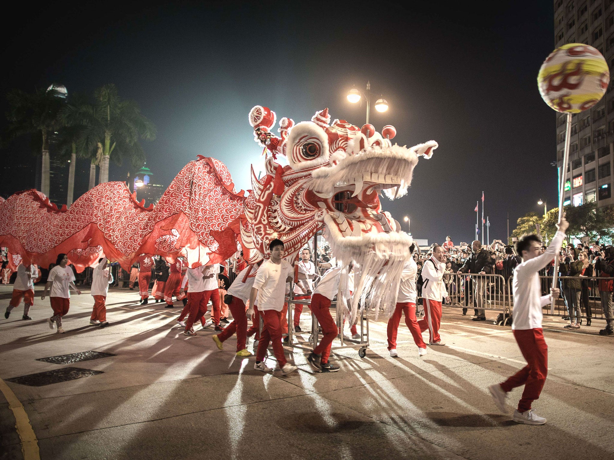 Performers display a dragon dance during a Chinese New Year parade in Hong Kong
