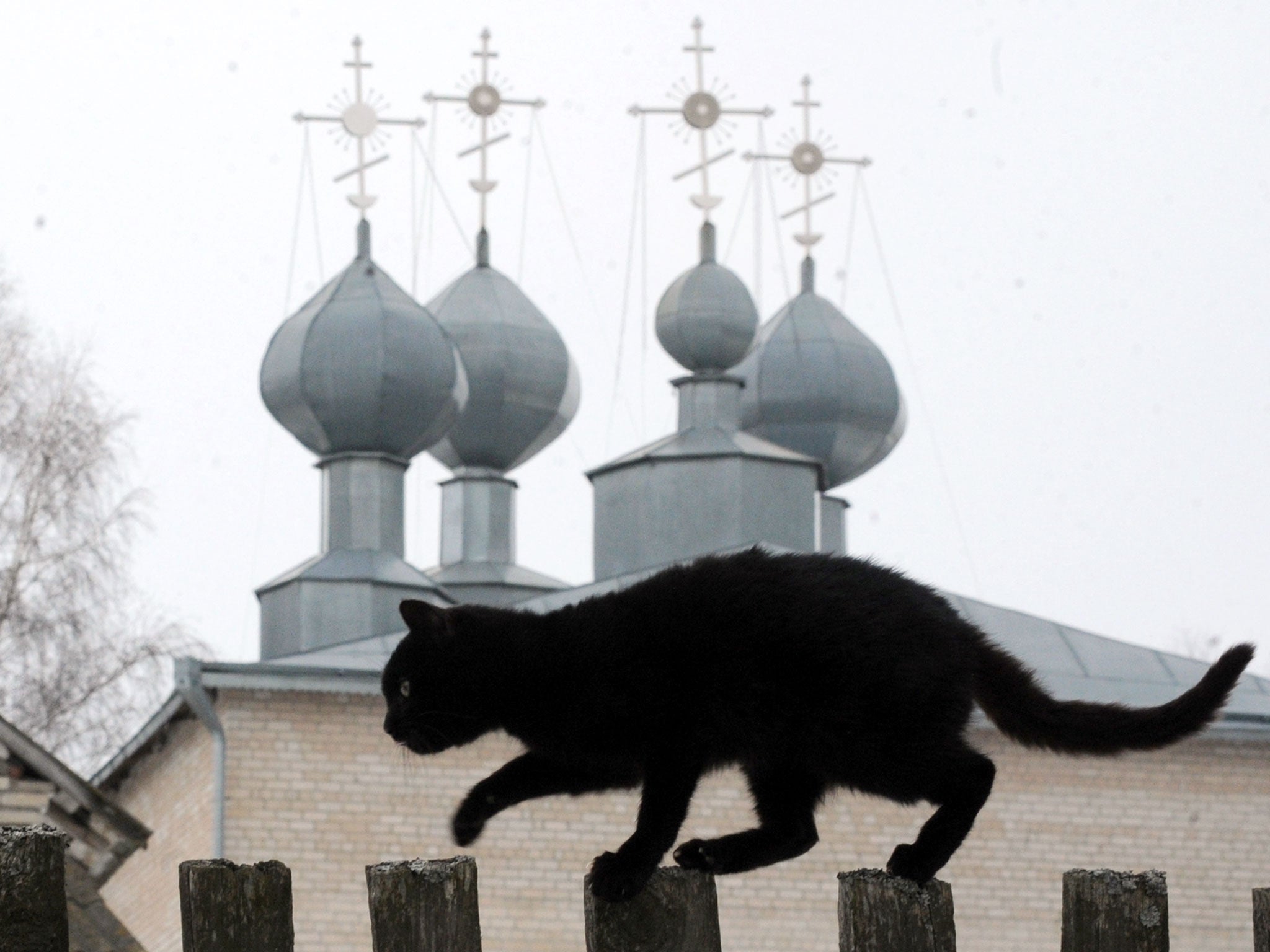 Ominous: a black cat in front of an cathedral in Belarus