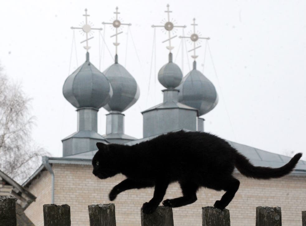 A black cat walks along a fence in front of an orthodox cathedral in the Belarus village of Zapesochie, some 150 km southwest of Minsk on February 19, 2013.