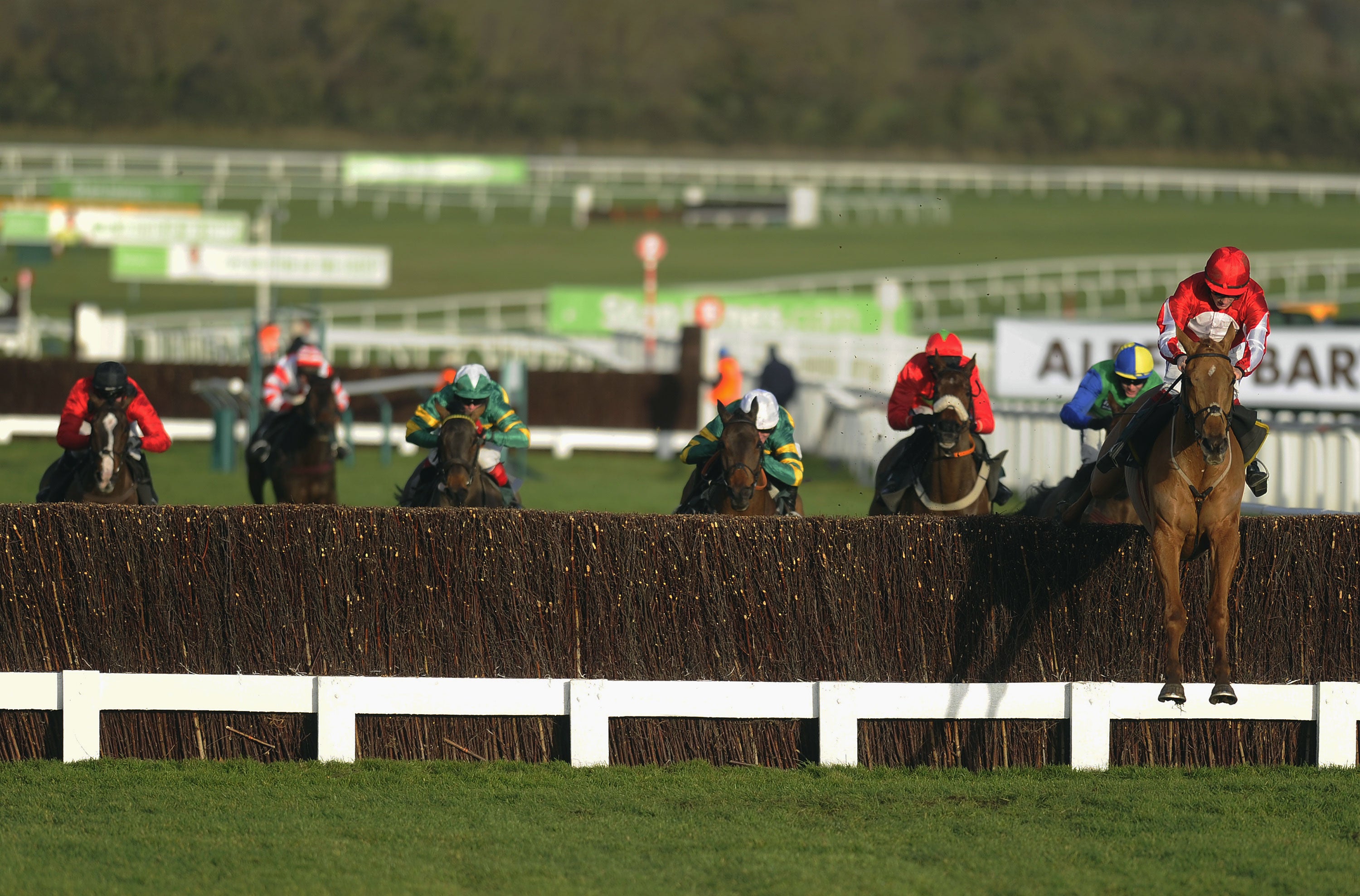 Jockeys ride horses at the Cheltenham festival in 2013, where the pop-up nightclub was hosted in 2012.