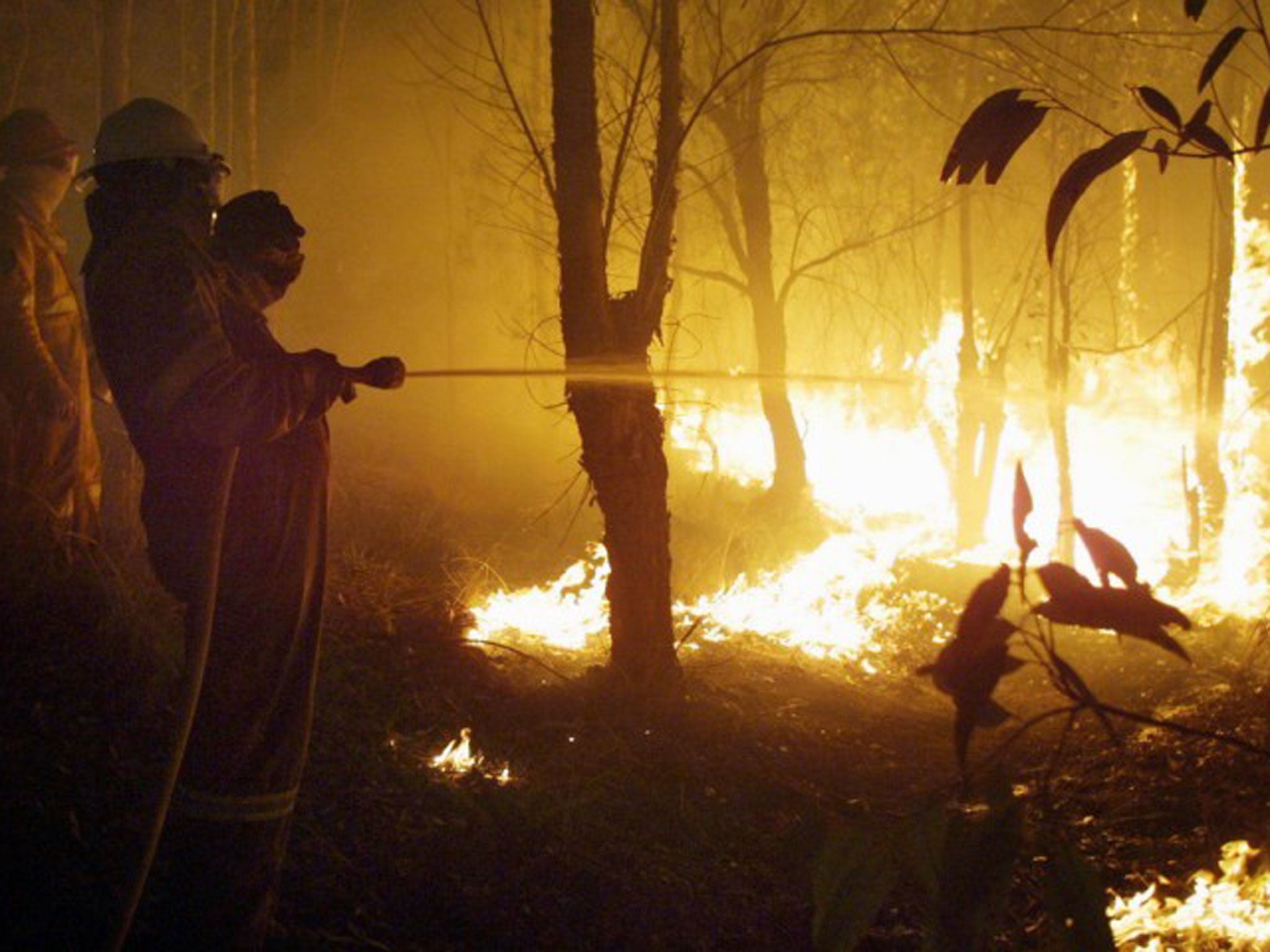 A firefighter battles the flames in Australia last year