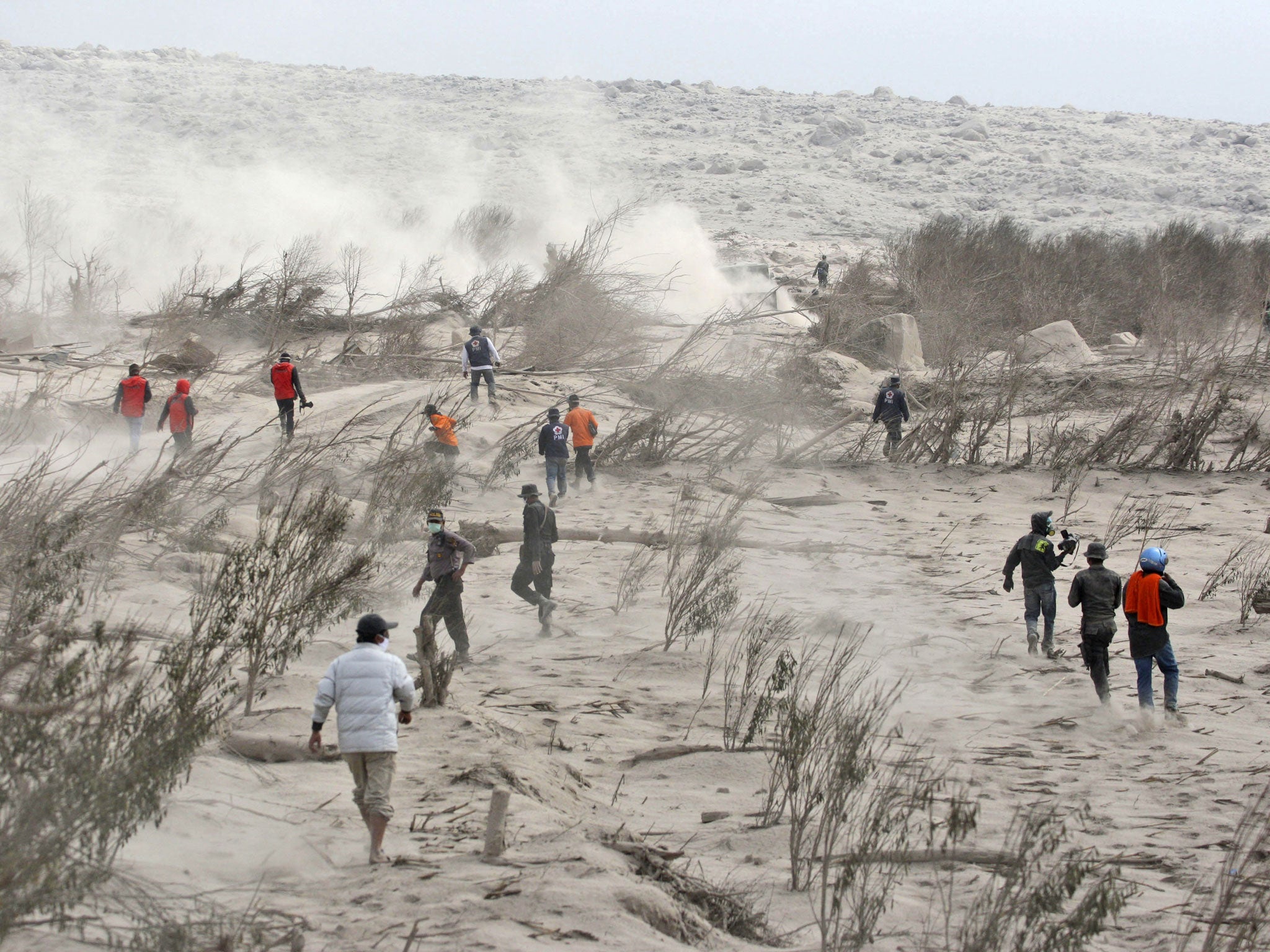 Rescuers search victims of the eruption of Mount Sinabung