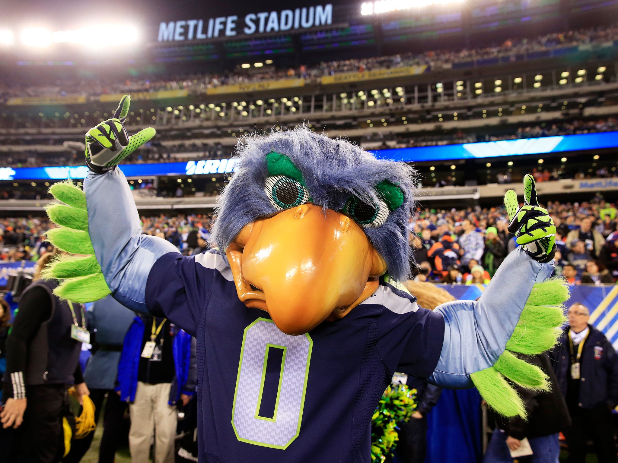 The Seahawks mascots celebrates