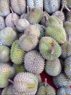 World’s smelliest durian fruit goes on sale in UK for first time