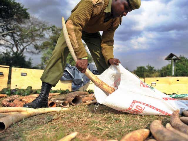 Mr Hague said the trade in illegal ivory was worth $19bn a year