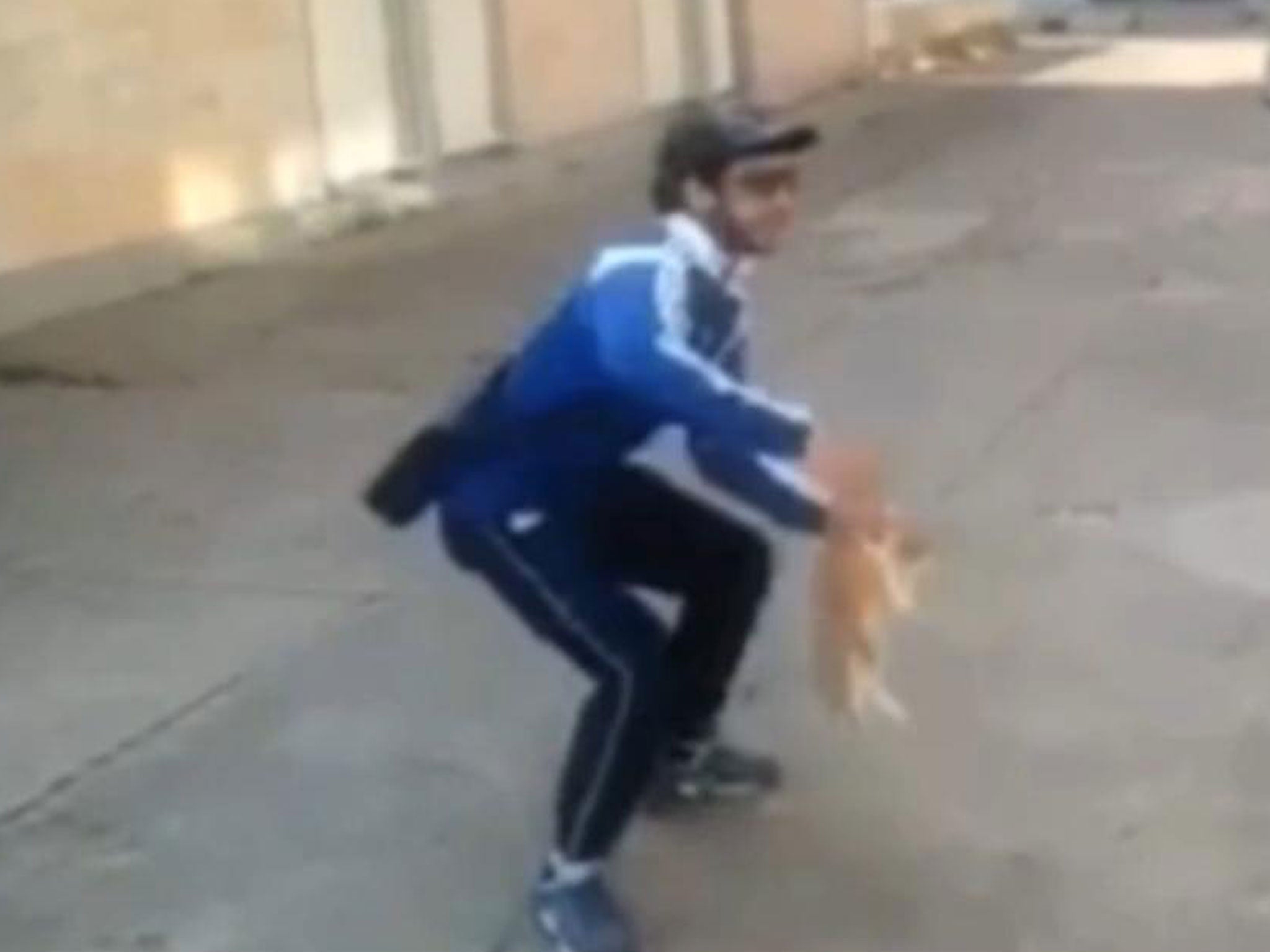 A still from the video showing Farid Ghilad throwing the cat against a block of flats