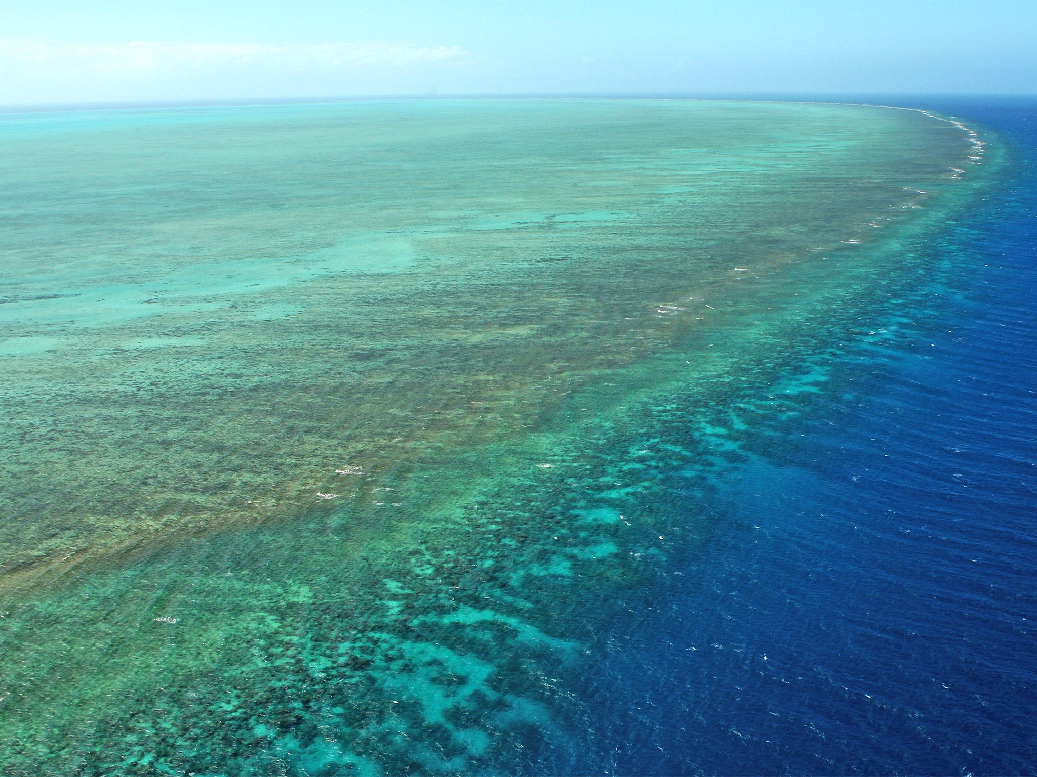 The Great Barrier Reef faces multiple threats