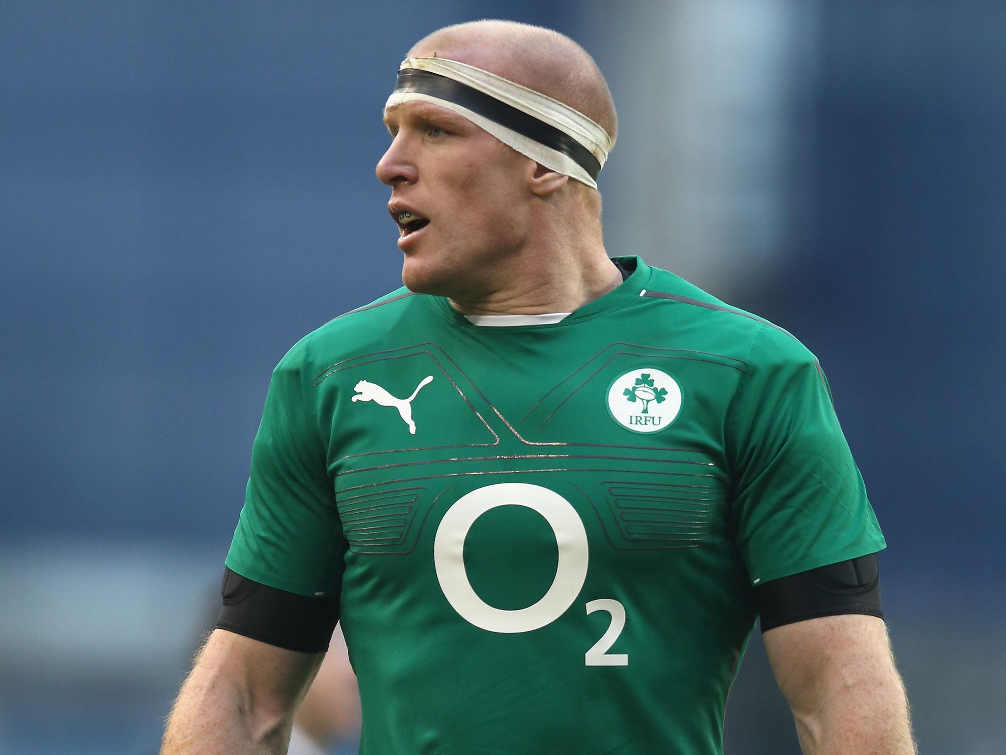 Paul O'Connell will return to lead out Ireland against Wales in Dublin on Saturday