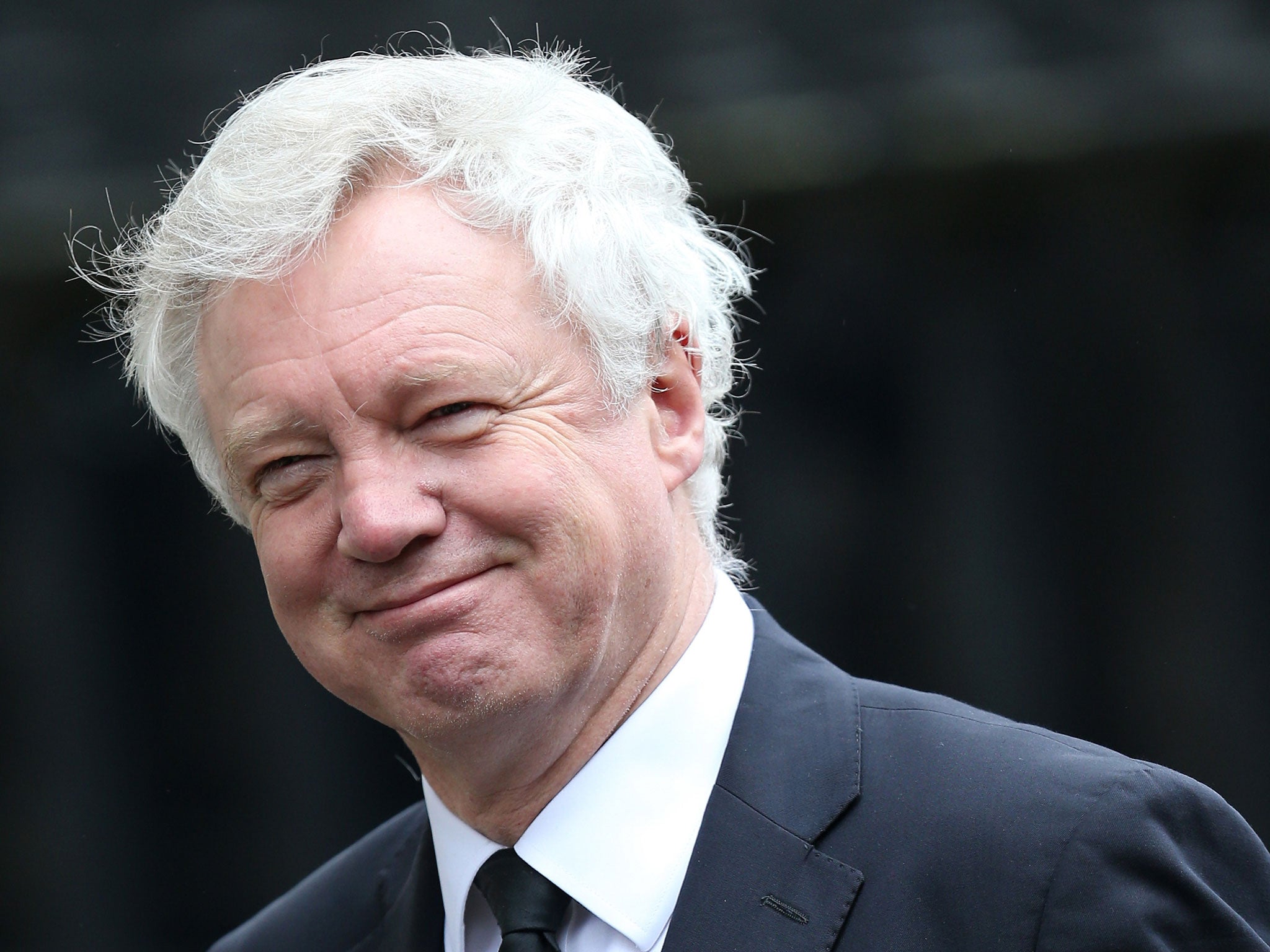 David Davis will lead the Brexit negotiations