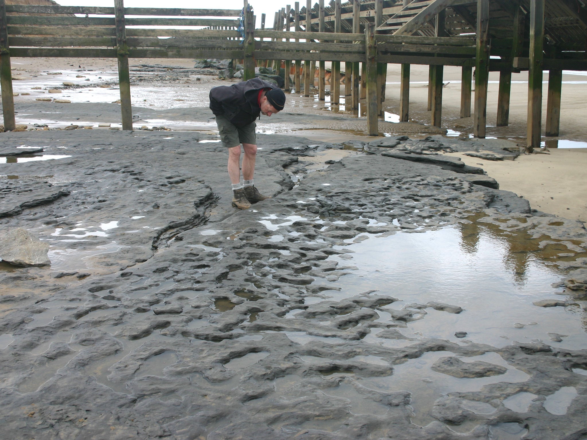 Photograph of the footprint hollows in situ on the beach as Happisburgh, Norfolk