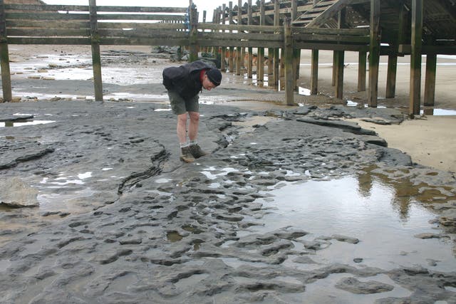 Photograph of the footprint hollows in situ on the beach as Happisburgh, Norfolk 