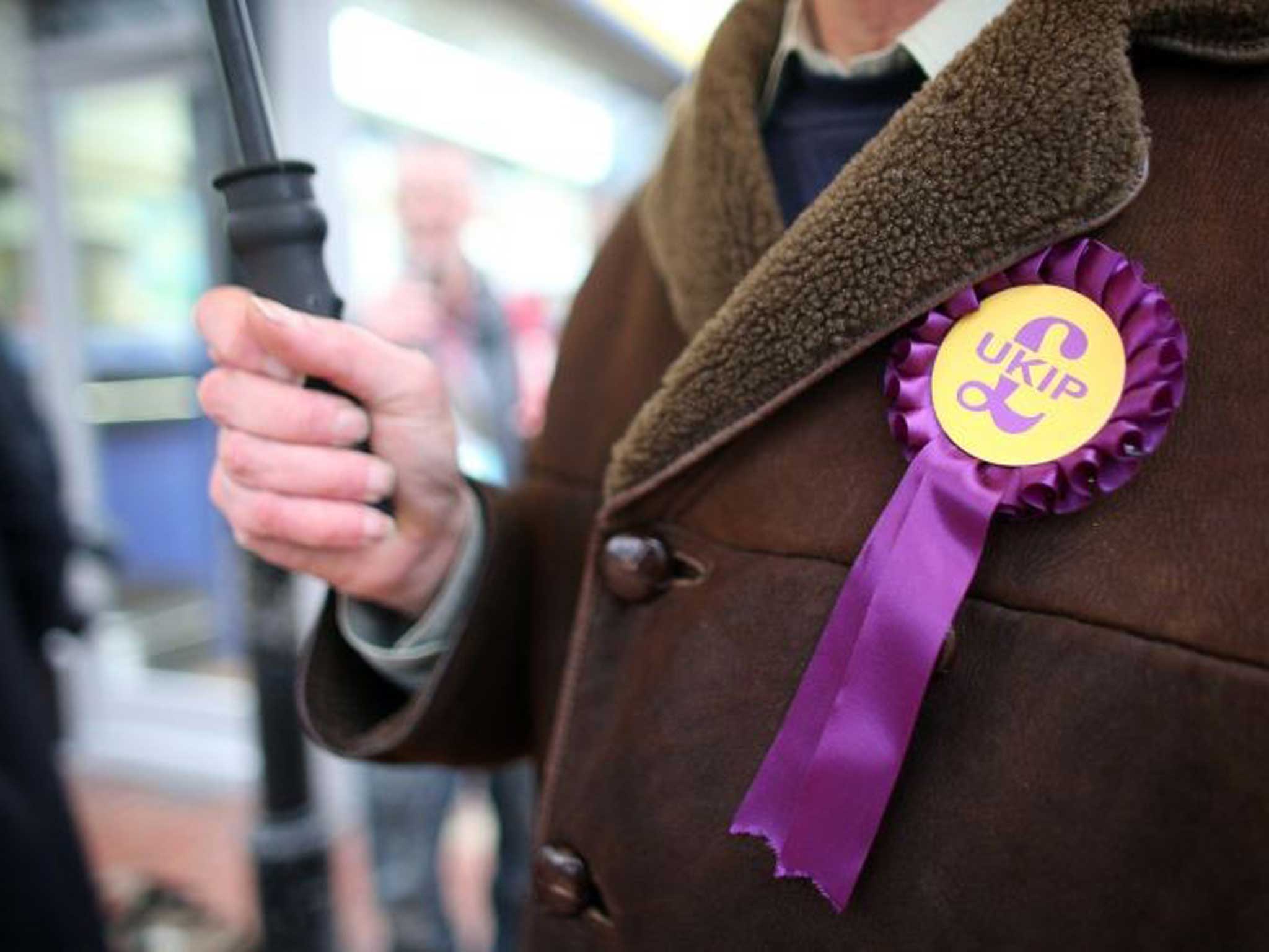 A UKIP member wearing the party's rosette