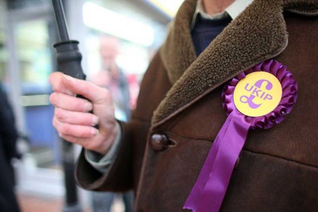 A UKIP member wearing the party's rosette 