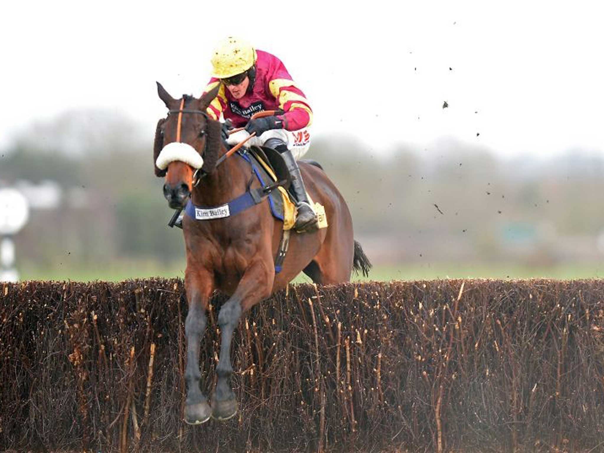 Happy hunter: Harry Topper heads for victory in the Denman Chase