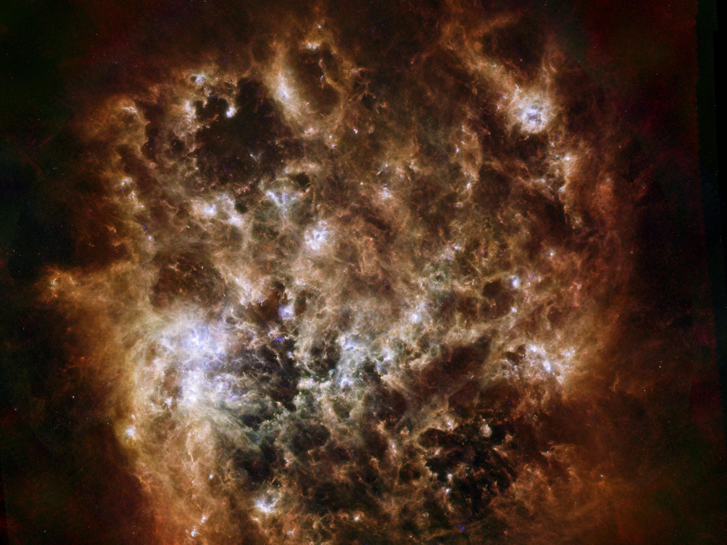 Large Magellanic Cloud galaxy