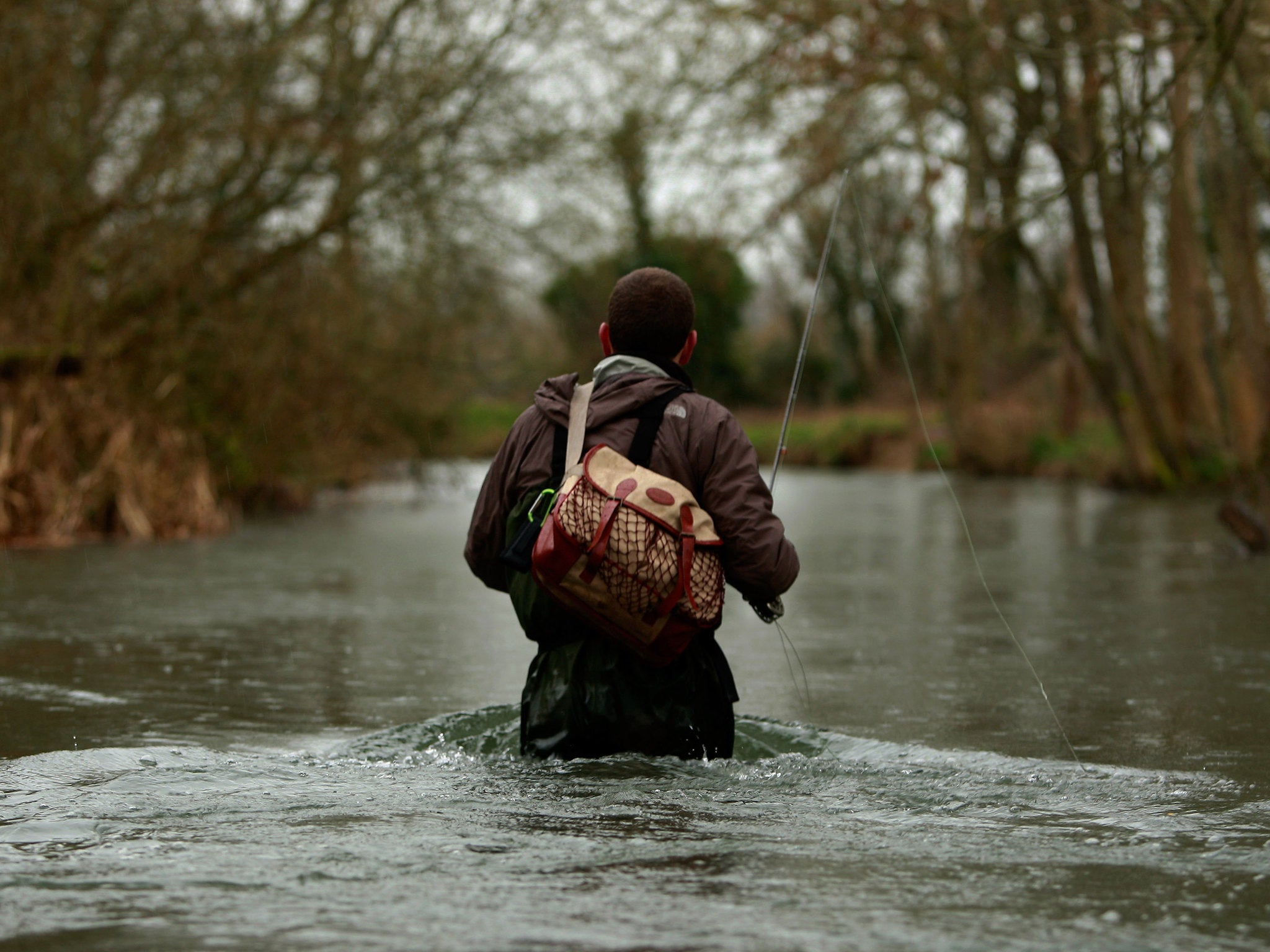 The Environment Agency has urged British anglers to thoroughly clean equipment to help halt the spread of demon shrimp