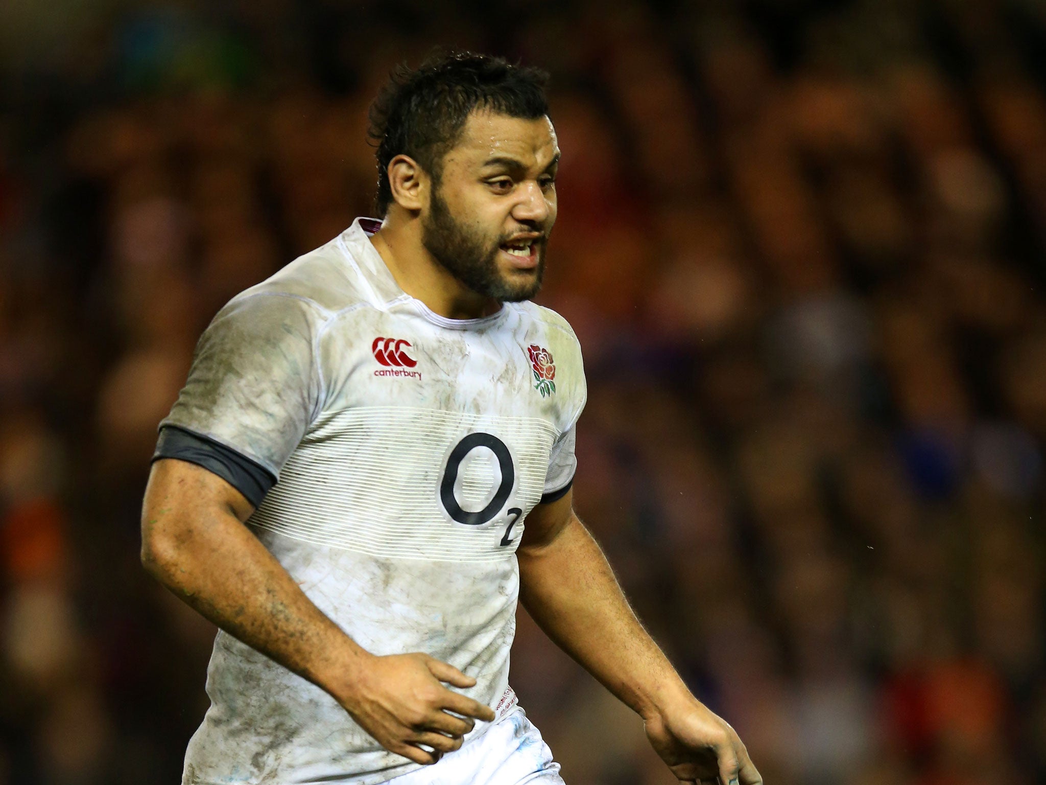 England number eight Billy Vunipola has praises Ireland pair Paul O'Connel and Brian O'Driscoll