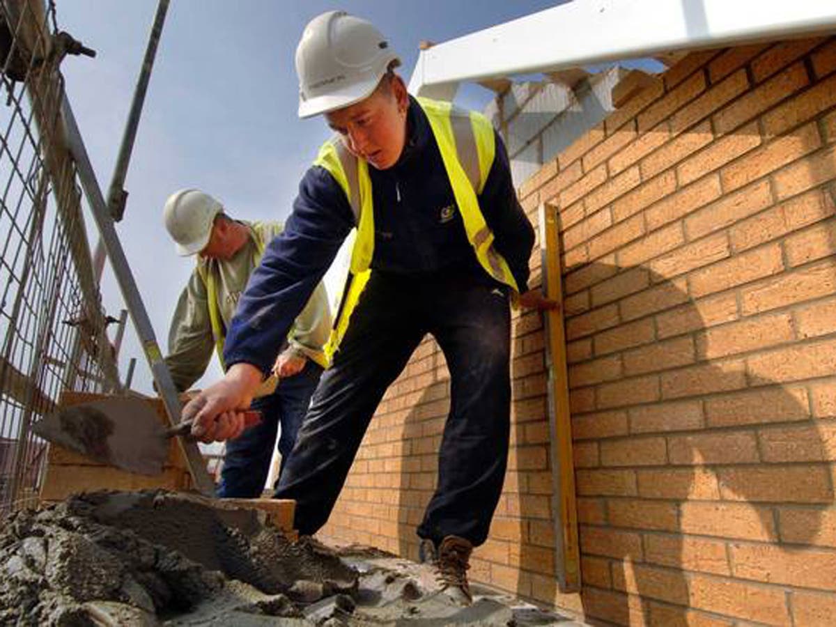 Bracec construction. строитель с кирпичом. портрет строителя. футеровщик-каменщик. профессия строитель.