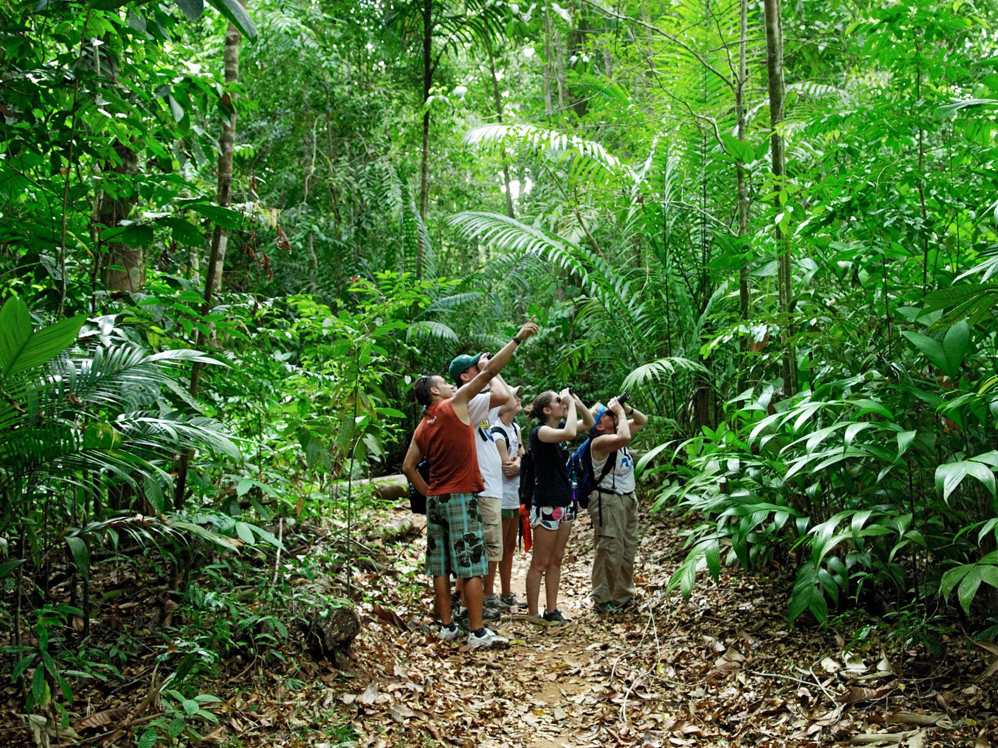 Where the wild things are: exploring Costa Rica
