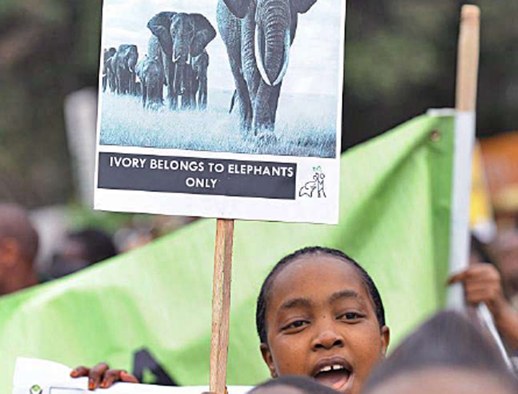 Wildlife conservationists take to the streets of Nairobi as part of
an awareness campaign dubbed ‘Ivory Belongs to Elephants’