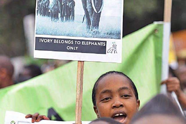 Wildlife conservationists take to the streets of Nairobi as part of
an awareness campaign dubbed ‘Ivory Belongs to Elephants’