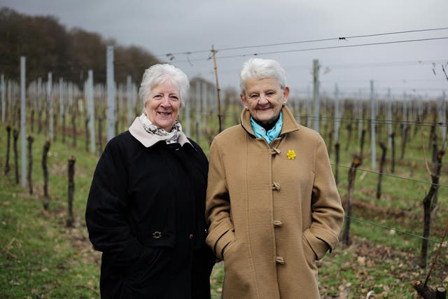 Anne Hathaway (brown coat) and Rita Everett are employed as grape pickers at Gusborne (they use money to supplement their pensions)