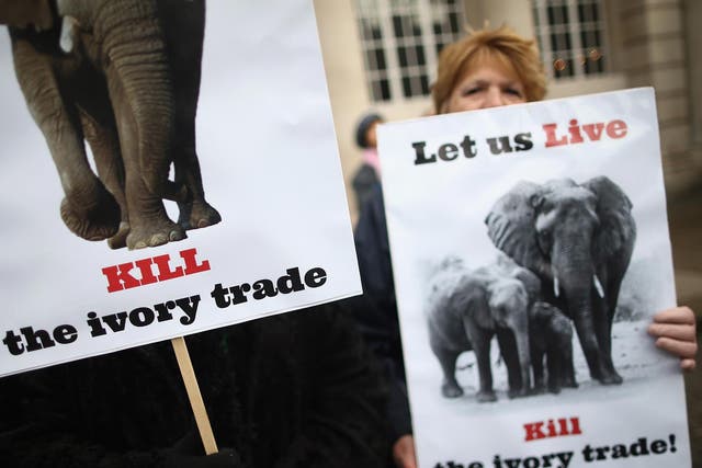 Campaigners protest against the illegal trade in wildlife outside the conference venue, Lancaster House in London, yesterday