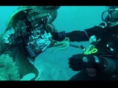 Octopus tries to wrestle camera from divers