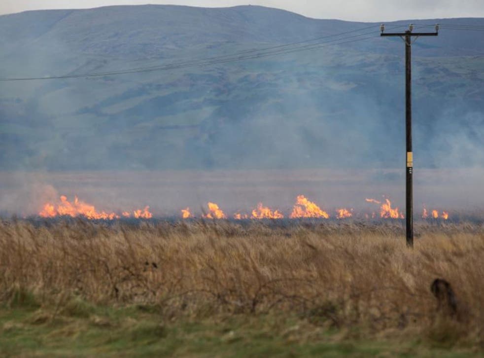 The seaside village of Borth on the edge of Cardigan Bay, already battered by the recent violent storms, faces another threat as Cors Fochno - Borth Bog catches fire and flames, driven by the high wind, draw nearer to homes