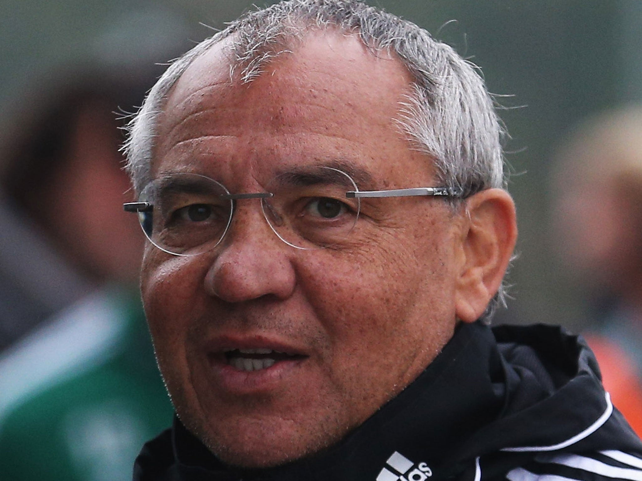 Felix Magath has replaced Rene Meulensteen as Fulham manager