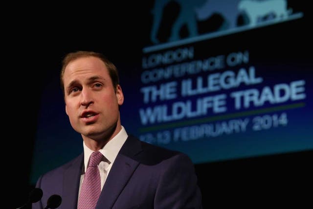 Speaking out: Prince William at the conference last Wednesday