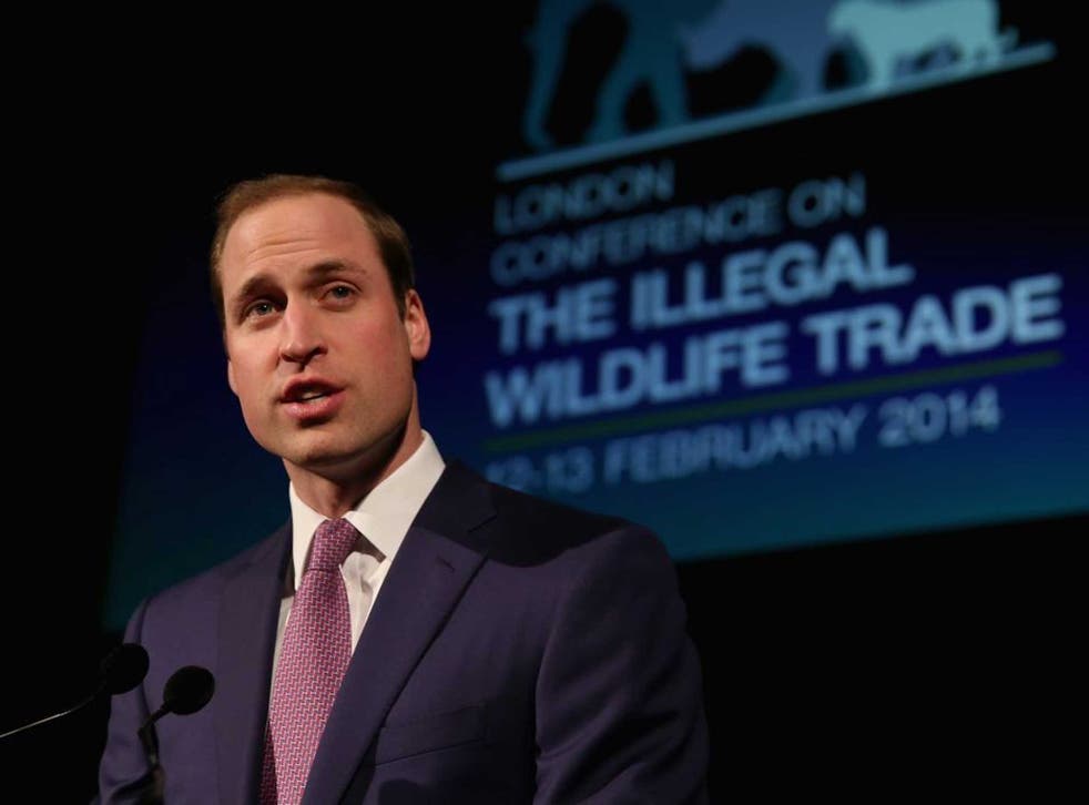 Speaking out: Prince William at the conference last Wednesday