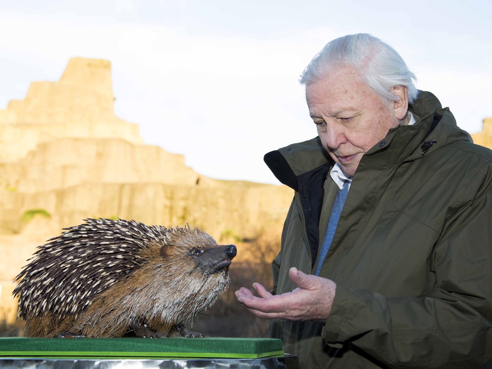 David Attenborough with a scale model of the hedgehog sculpture