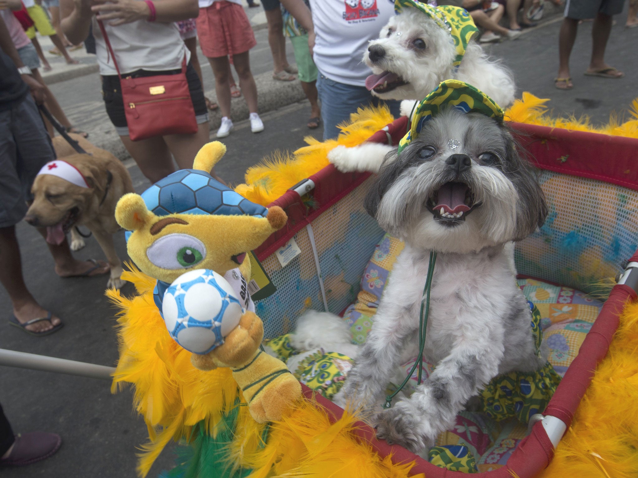 Dogs stand next to 'Fuleco', the official mascot of the 2014 FIFA World Cup, during the "Blocao" dog carnival in Rio de Janeiro