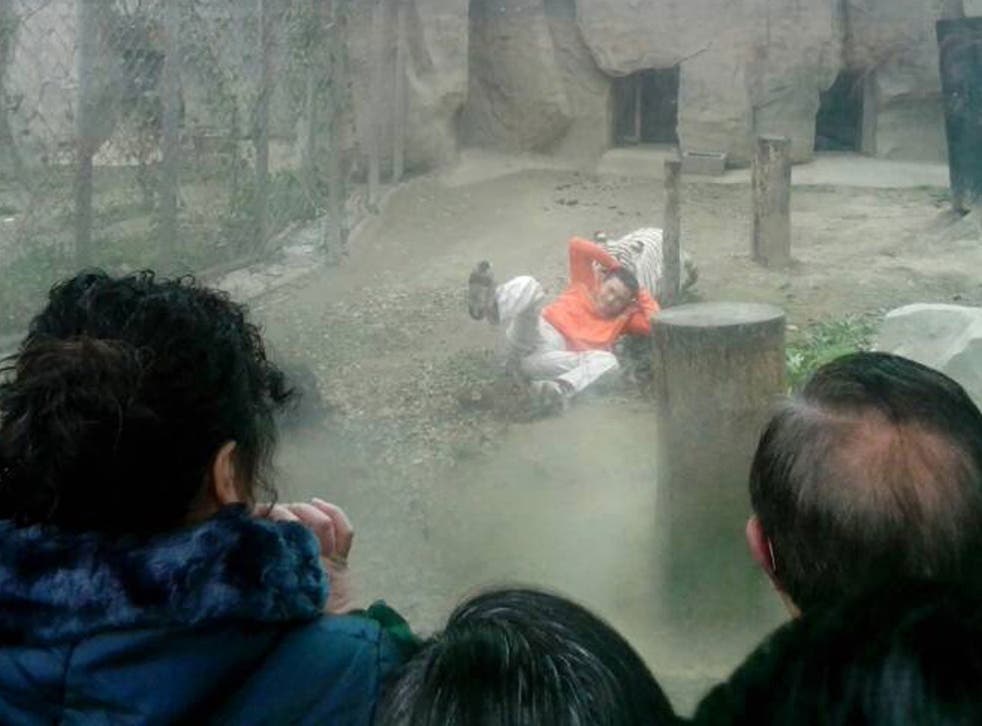 Yang Jinhai, 27, told reporters he jumped into an enclosure at Chengdu Zoo, Sichuan, because he wanted to 'feed the tigers' 