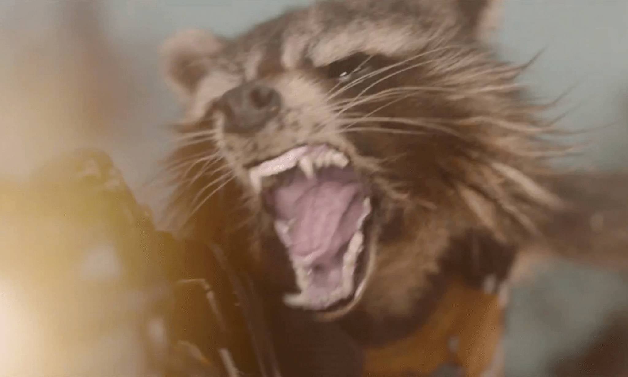 Bradley Cooper voices Rocket Raccoon in Guardians of the Galaxy