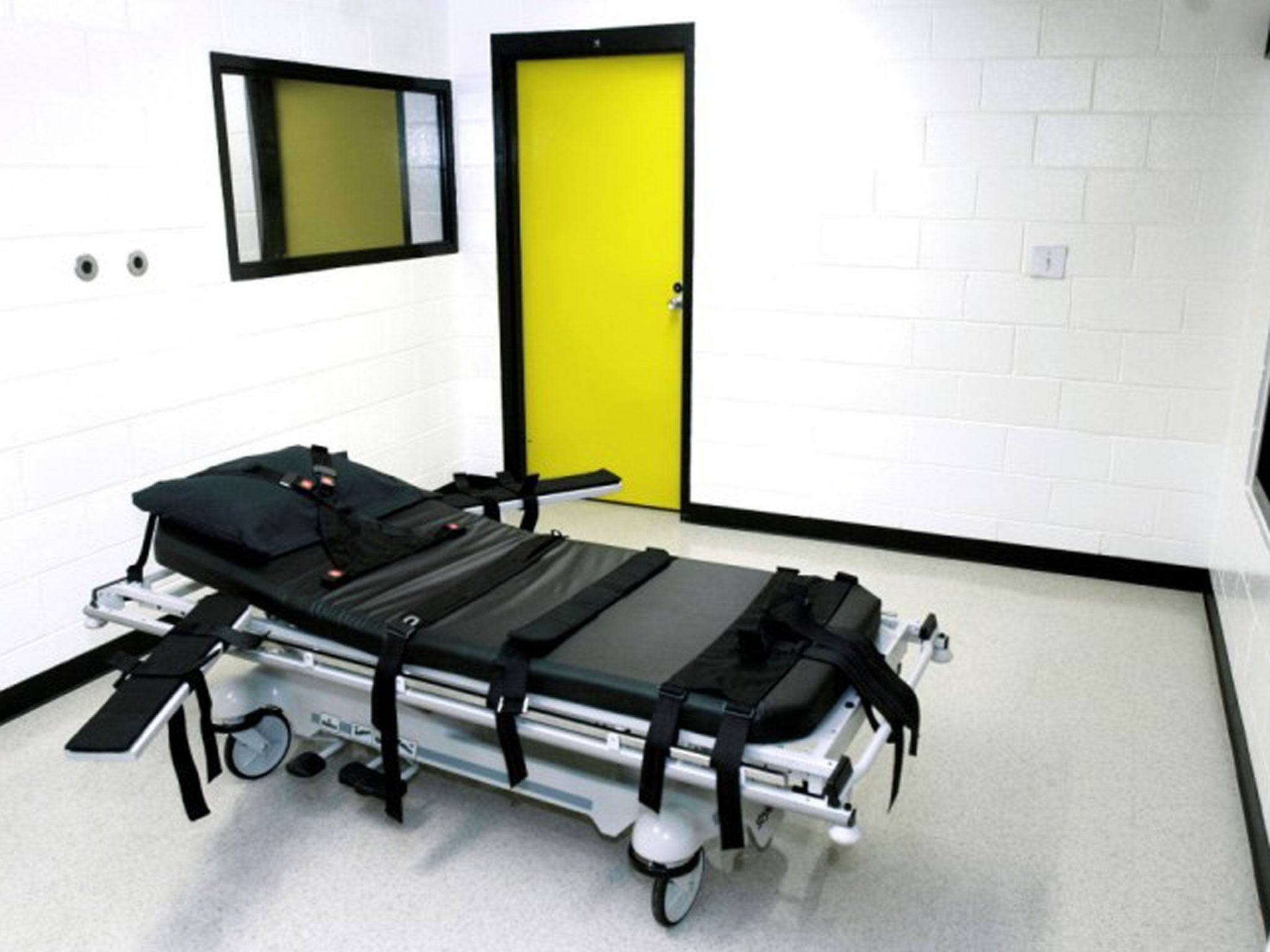 Out of favour: Only 12 of the 32 states which execute prisoners use the electric chair