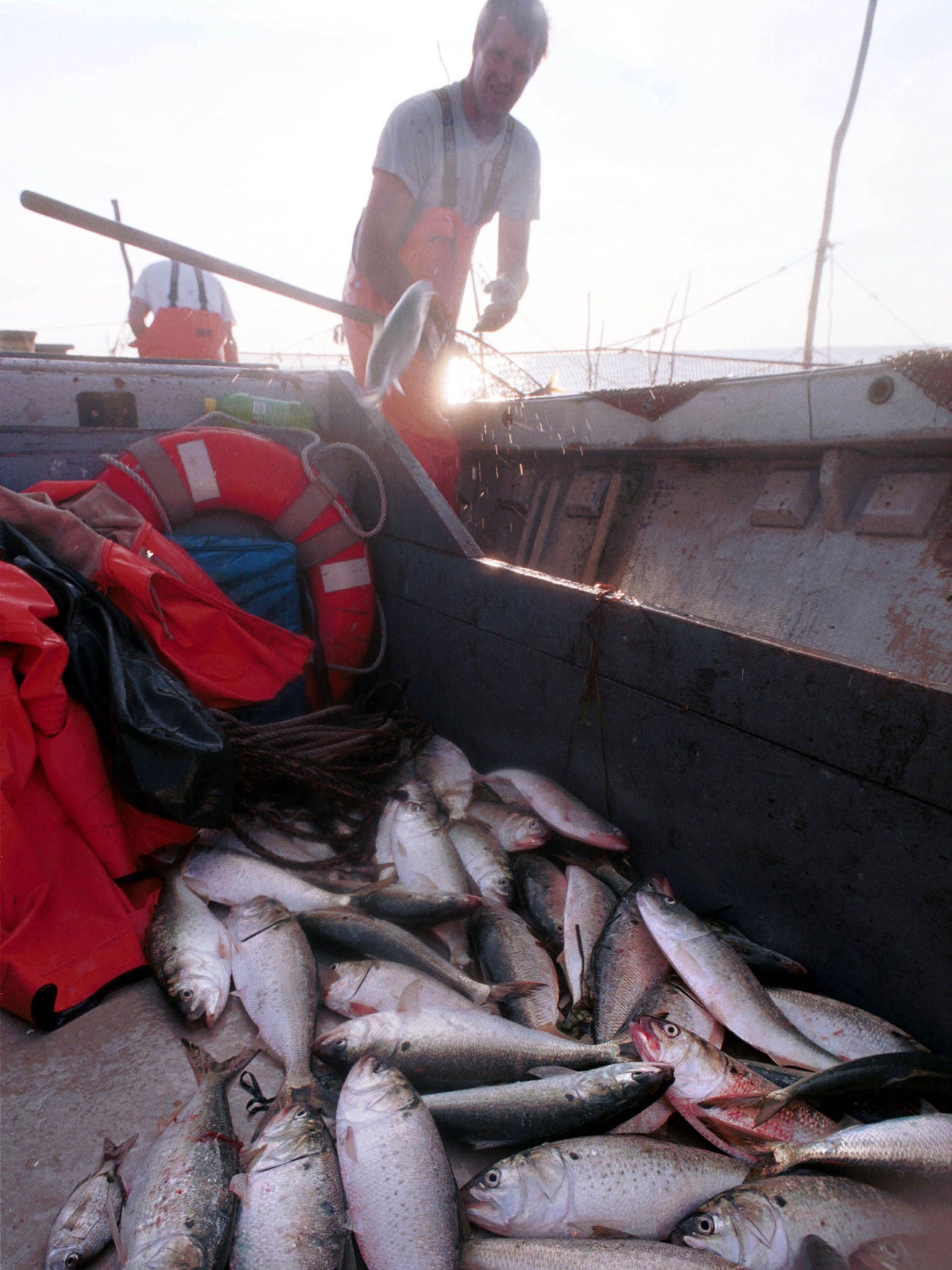 Depleted stocks have cast the Cape Cod fishing industry into crisis