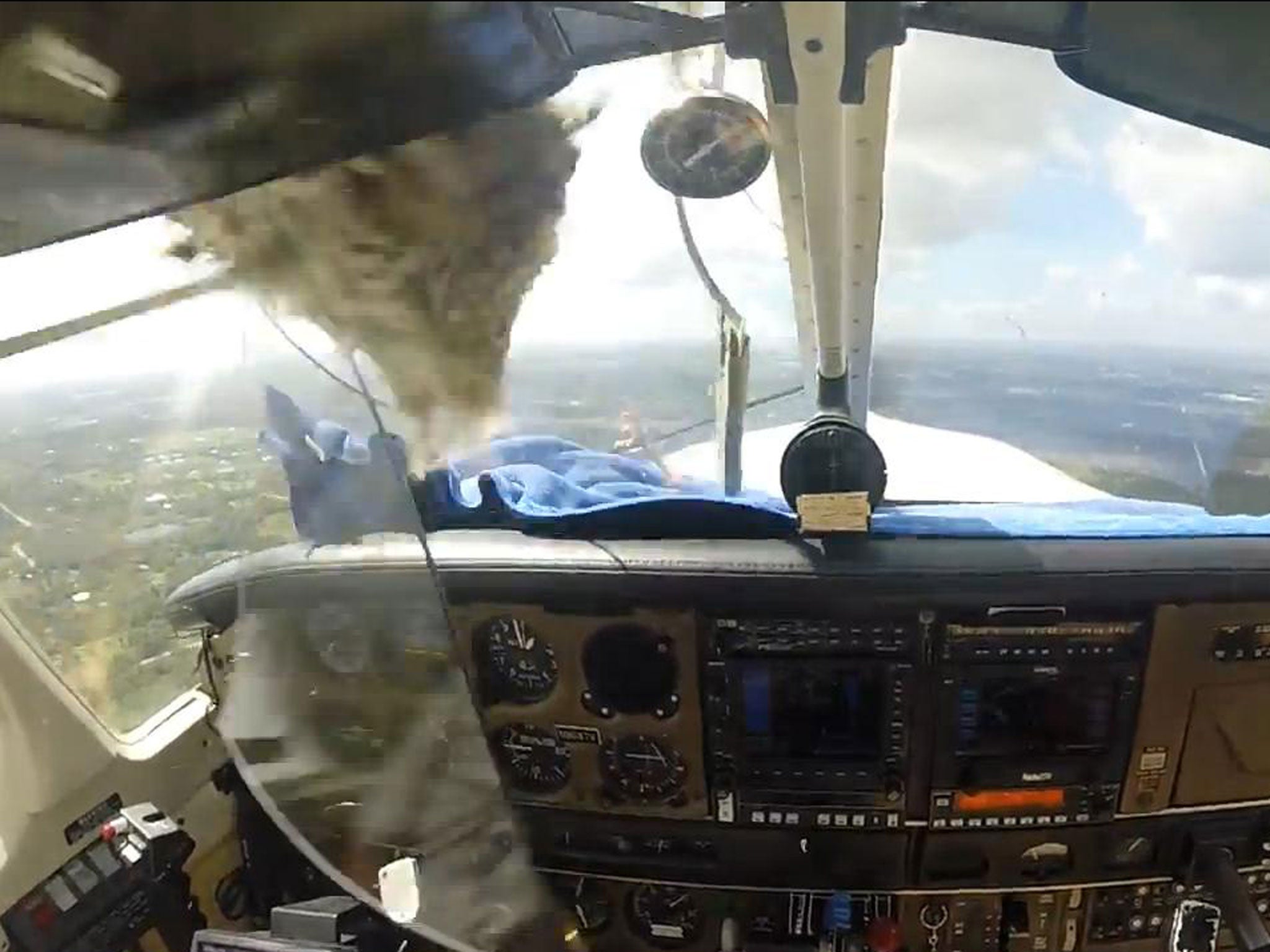 The moment a bird smashed into the windshield of Robert Weber's light aircraft