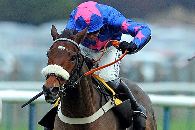 Cue Card is out of the Gold Cup after pulling muscles