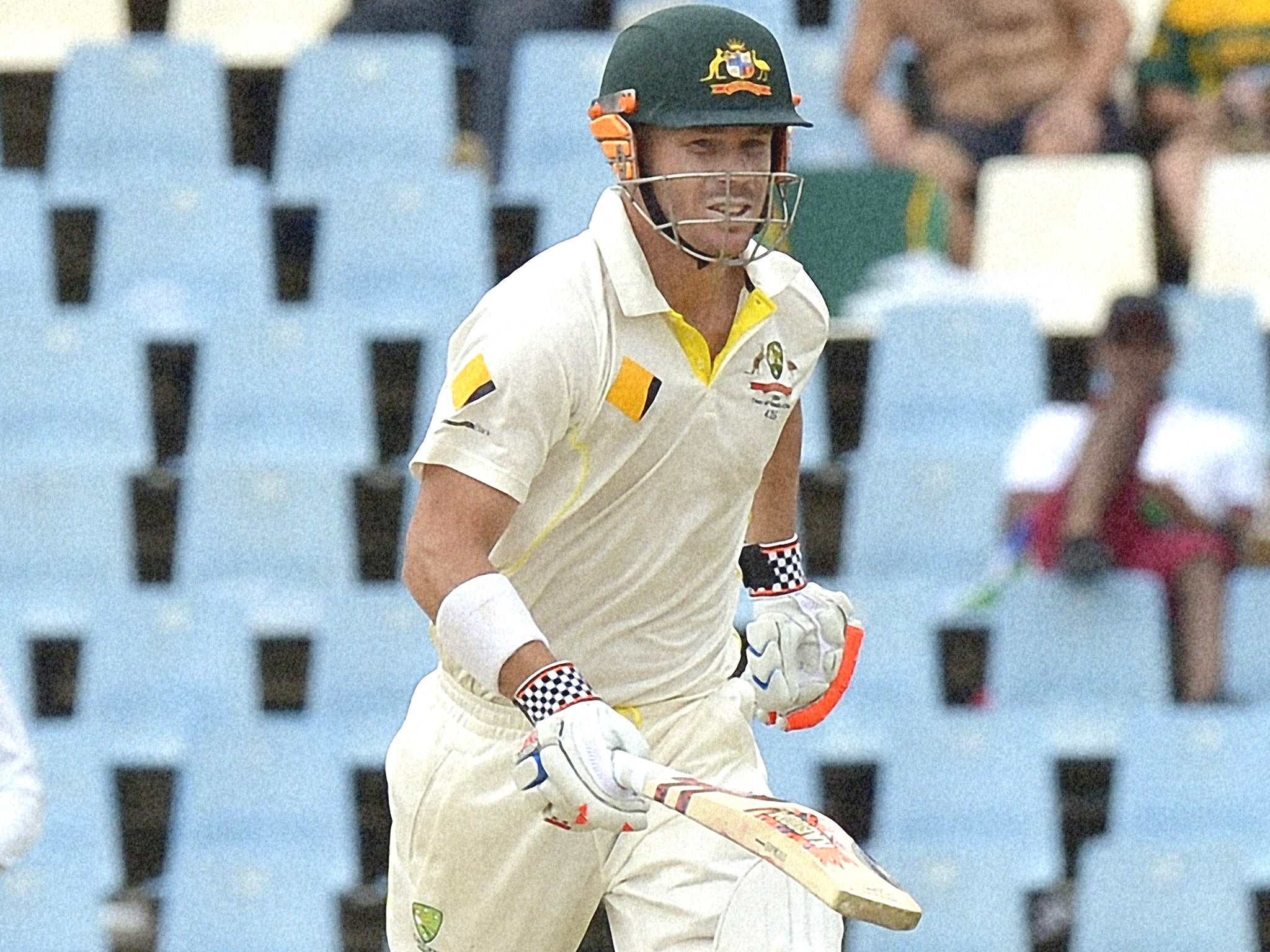 David Warner (pictured) questioned if wicketkeeper A B de Villiers had roughed up the ball