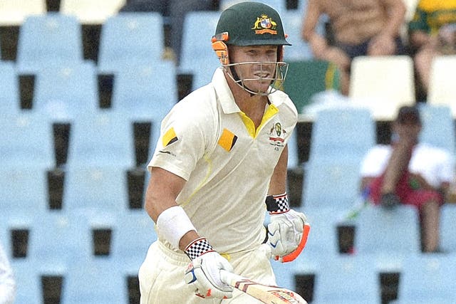 David Warner (pictured) questioned if wicketkeeper A B de Villiers had roughed up the ball