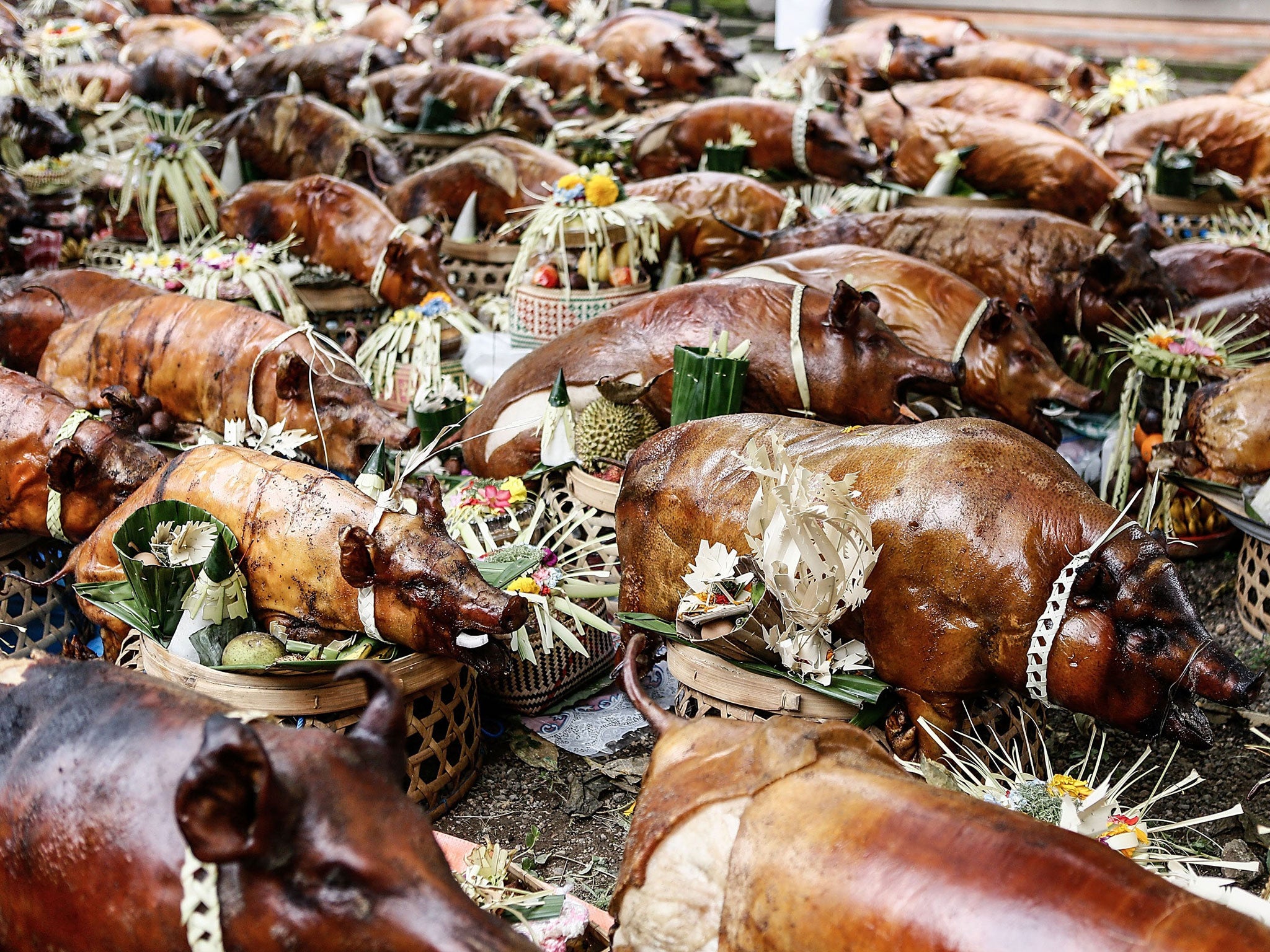 Hundreds of roasted pigs are placed in the Dalem Temple at Timbrah Village in Karangasem. Usaba Dalem is an annual ritual held by the people of Timbrah Village, during this ritual all the villagers will cook roasted pigs and carry them to Dalem Temple as