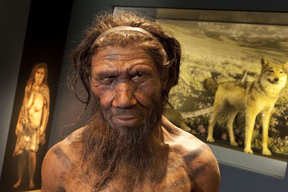 Some Neanderthals were vegetarians who used natural forms of penicillin ...