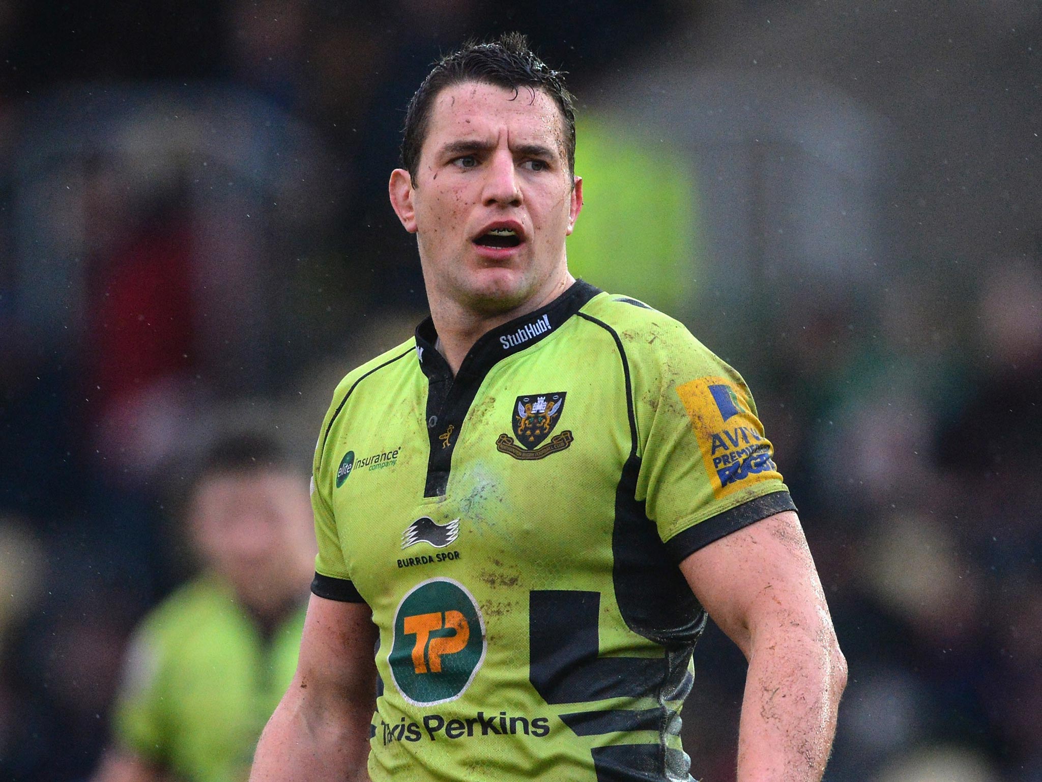 Phil Dowson will lead Northampton against Gloucester today in his 200th Premiership appearance