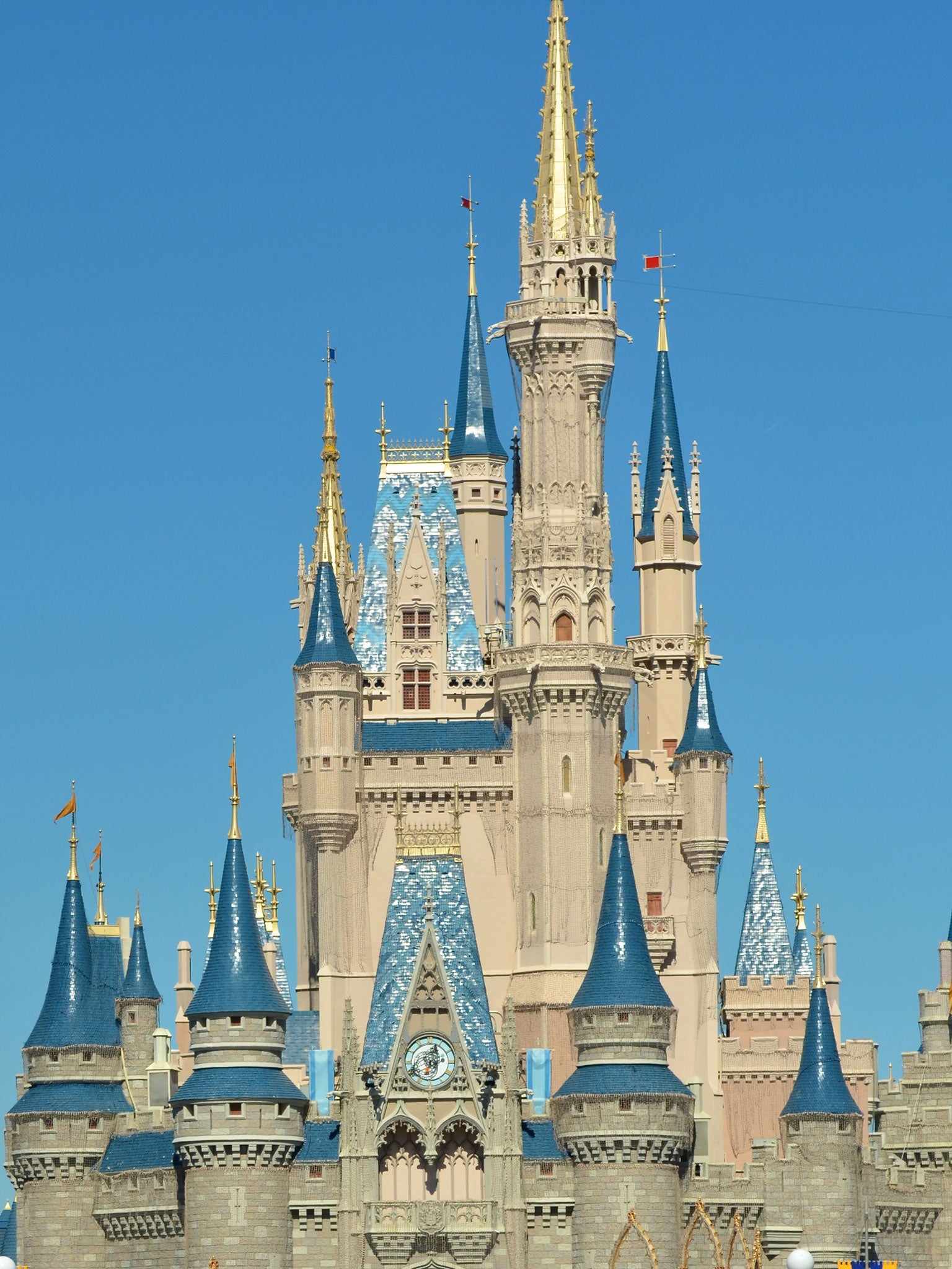 Walt Disney World's decision was welcomed by campaign group Scouts for Equality