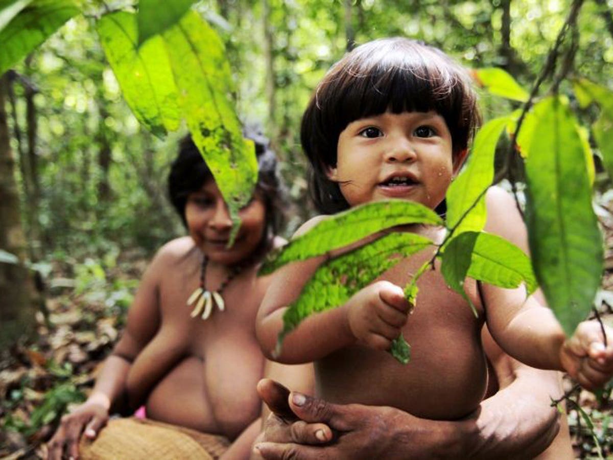 Amazon land returned to endangered ethnic tribe in Brazil 