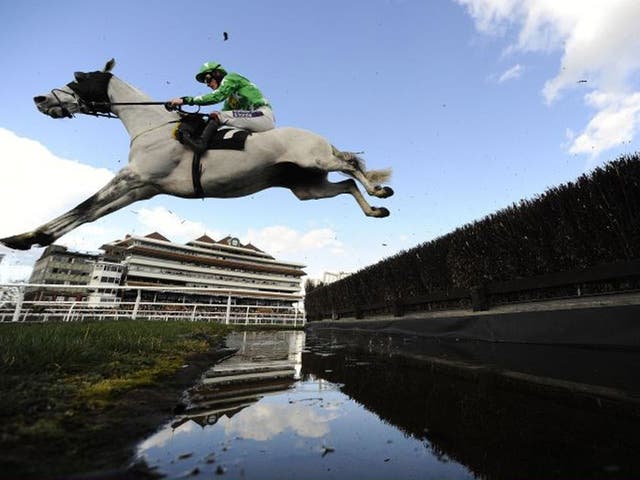 Racing Pigeon: Sam Twiston-Davies and Pigeon Island clear the water jump in the Veterans’ Handicap Chase at Newbury yesterday 