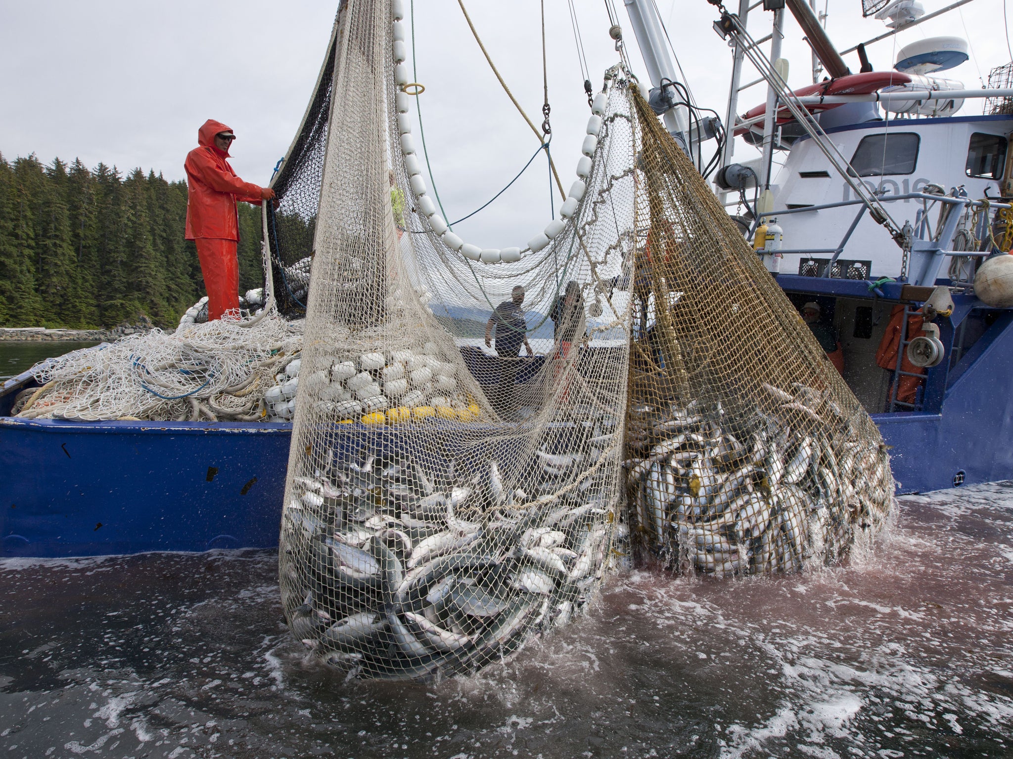 Tesco accused of 'hypocrisy' for stocking a cut-price brand of tuna caught using huge purse seine nets which can catch anything in their path