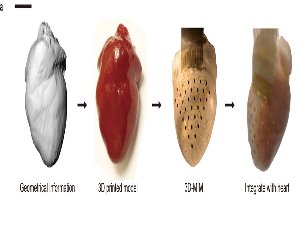 3D Printing Rabbit Heart  - About 0% Of These Are Pendants & Charms, 0% Are Silver Jewelry, And 0% Are Zinc Alloy Jewelry.